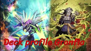 [Cardfight!! Vanguard Dear Days เเนวทางการจัดเด็ค Lavien Lord, Granfia + PR Deck Profile  | D-BT09]