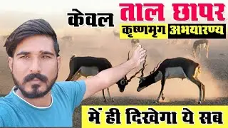चूरू का ताल छापर अभ्यारण्य || Tal Chhapar Video || Raju Moto Vlogger