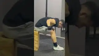 Alzate posteriori con manubri #fitness #motivation #allenamento #sports #deltoide