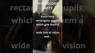 Psychology Fact #020