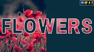 How to Create Text Mask Effect in Canva | Text Masking Effect Tutorial | Canva Tutorial