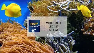 How to connect the 50cm MIXED Led Set from HVP aqua? (ENGLISH)