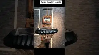 Solar garden light #light #starlight #lighting #solargardenlights