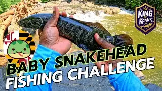 Intense Baby Snakehead Fishing Challenge on Patuxent River