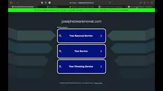 Joseph's Tree Removal and Yard Care Timm from Blue June SEO Shows Joseph How to Outrank Competitor