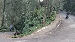 Sitinjau mini Pasuruan Jawa Timur KABUT JALANAN  sedang live sekarang!