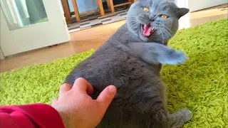 No Touching! I Am Not In The Mood