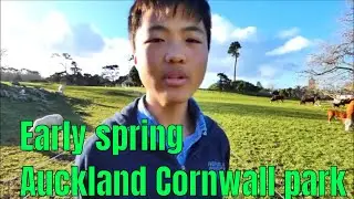 Early spring in Cornwall park, Auckland