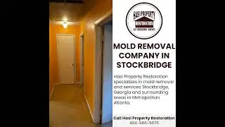 Mold Removal Company in Stockbridge Georgia