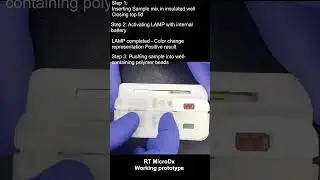 RT MicroDx Prototype