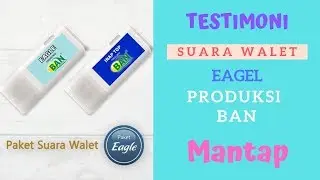 Testimoni Sp Walet Eagle Ban