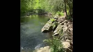 Laurel Fork Falls Hike - April 28, 2024