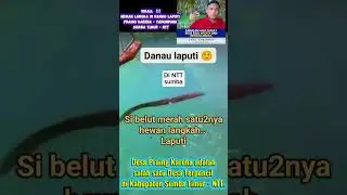 Ramalan Hard Gumay 2026 soal Wisata & Hewan Langka berada di Laputi, Praing Kareha - Sumba Timur NTT