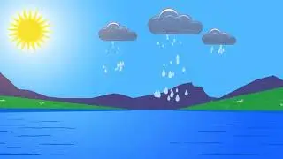 Biology: Nutrient Cycling in Nature 3