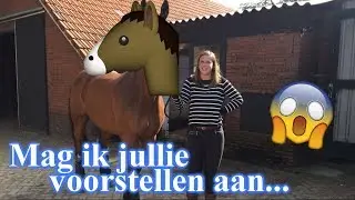 Mijn GROOTSTE droom komt UIT!  | Zaressa