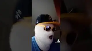 нова волна до темна