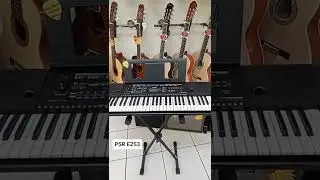 Yamaha Psr E253