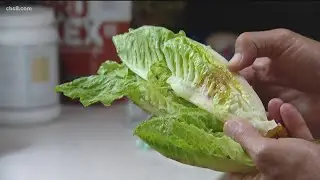 What this new California law means for your food scraps