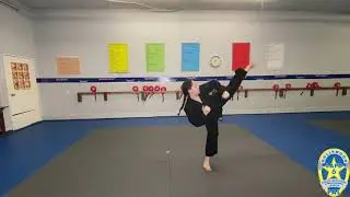 Hollywood PAL: Martial Arts Hwa-Rang Form