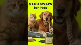 Eco-Friendly Pet Products: 5 Sustainable Swaps for a Greener Pawprint #paw  #bestpetsupplies