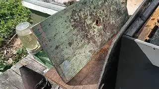 getting better with the queen right cell starter