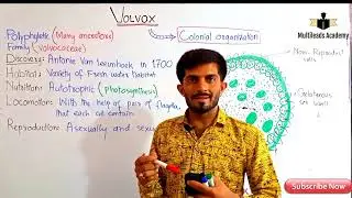 Introduction to biology Lec#11 Volvox in Urdu/Hindi by Sir Ahsan Baloch