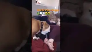 Dog barfs because stinky fart #funny #dog #pets #foryou