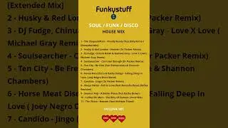 🪩 Funkystuff Disco House Mix | Vol 001