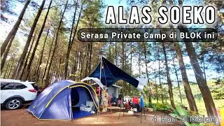 ALAS SUKO TRAWAS CAMPING GROUND TERBARU | MURAH TENANG | TENDA WILDSHELL | CAMPING KELUARGA ESTETIK