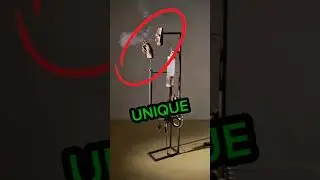 Три школьных проекта, три совершенно разных послания.