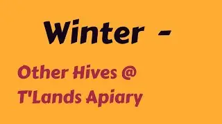Other Hives @ T'lands Apiary     #Experimental-st