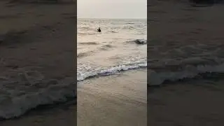 Cherai beach in 15 seconds #shorts #youtubeshorts #godsowncountry #kerala #cheraibeach #viralvideo