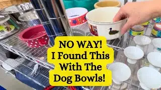 Thrifting For Treasures in Farmingville, NY | How Did This End Up With the Dog Bowls?!