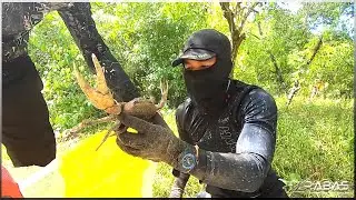 EP466-Part 1 - Kuray Crab Racing | Ginataang Kuray at Tahong | Occ. Mindoro