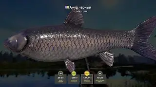 📢СТРИМ РР4🔥ВЕЧЕРНЯЯ ПРОГУЛКА ЗА РЫБОЙ🔥РУССКАЯ РЫБАЛКА 4