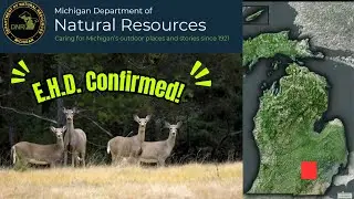 Michigan DNR confirms EHD 2025! Breaking Outdoor News!