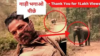 दुधवा नेशनल पार्क मैं हांथी ने किया हमला फिर देखे क्या हुआ|#Lakhimpurkheri