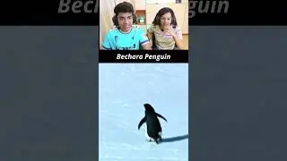 what is the penguin story & slayypoint horror game reaction #edit #crossover