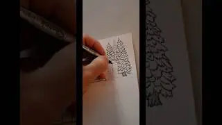 Hand drawing pine trees for my cabin in the woods 🌲 #shorts