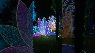 Malahide Castle Wonderlights part 2 #malahide #wonderlight #christmas
