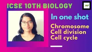 Structure of chromosome, cell division and cell cycle || ICSE 10th- Biology || In one shot
