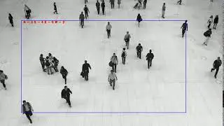 Multi directional crowd count