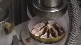 Ice cream Cone Filling Machine, Shreya Engg Works, 📩info@shreyaengineering.com,📲 +919427004851