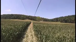 Mega 3