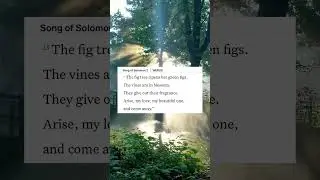 The Bible in Music | Song of Solomon in Bossa Nova 🌹 #shorts