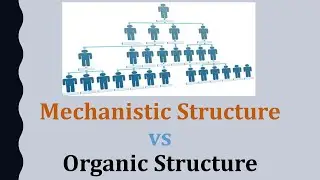 Mechanistic vs Organic Organizational Structure
