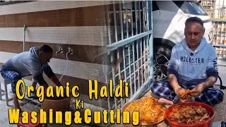 Organic Haldi [ Washing [ Cutting [ You tube [ vlog