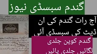 wheat subsidy news || gandum subsidy latest update