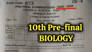 10th 💯PRE-FINAL 