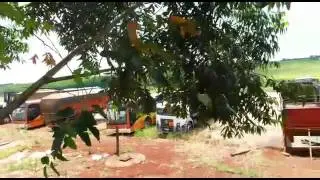 1938 com pente. Rapozo tavares km 264 campos de holambra
